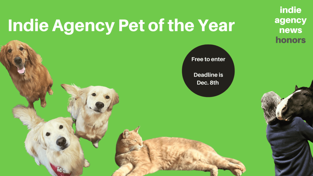 Four pets—a golden retriever, a white dog, a golden dog, and an orange cat—pose on a green background. The text invites Nominations for the Indie Agency Pet of the Year competition.