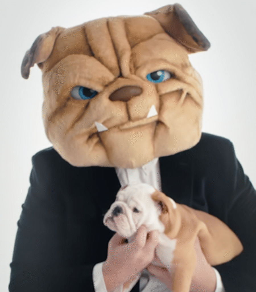 A person wearing a large bulldog mascot head