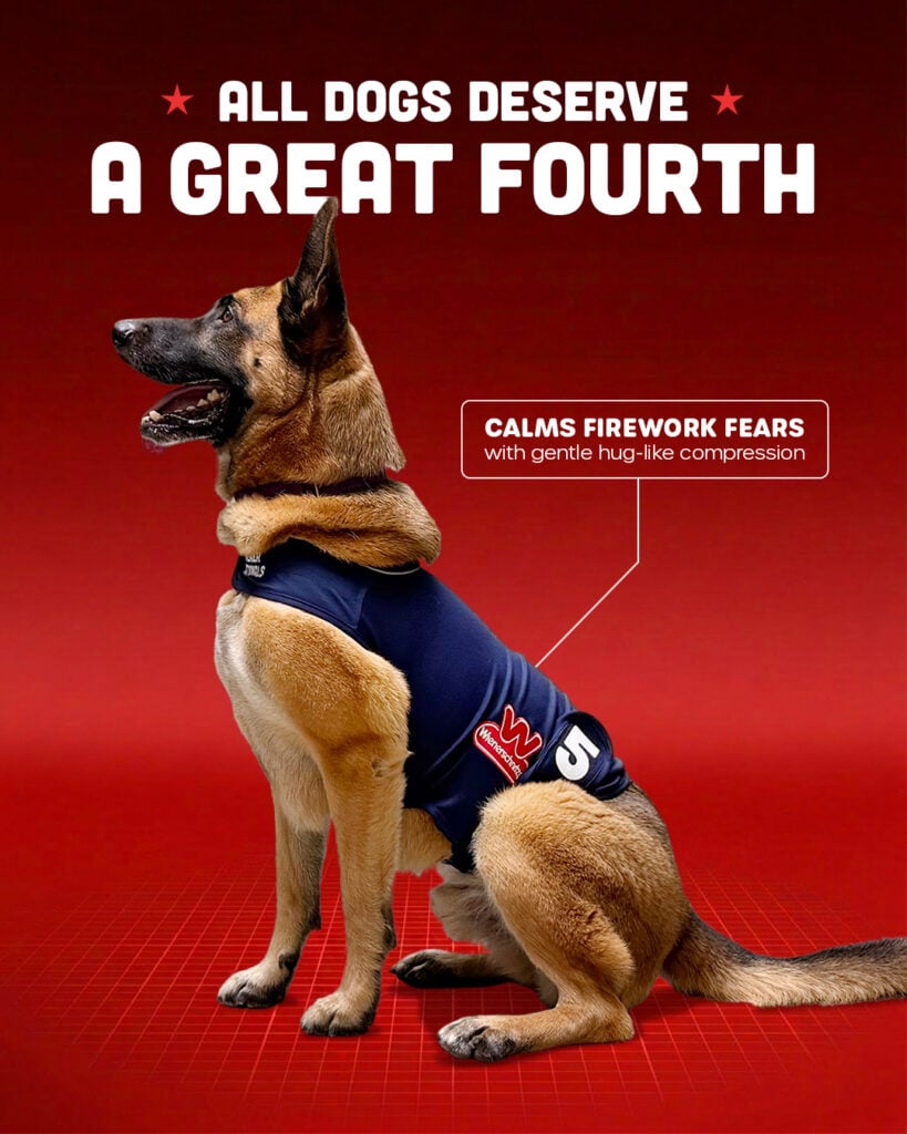 A dog wearing a compression vest sits on a red background. Text reads, All dogs deserve a great Fourth and Calms firework fears with gentle hug-like compression.
